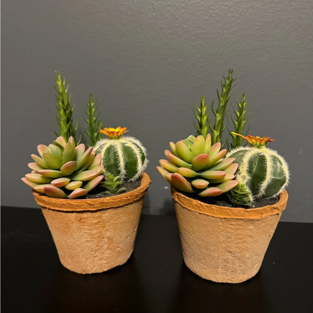 Fake succulent decor set of 2